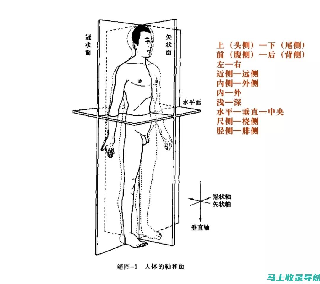 全方位解析SEO在淘宝店铺运营中的重要作用